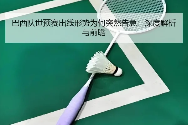 ba-xi-dui-shi-yu-sai-chu-xian-xing-shi-wei-he-tu-ran-gao-ji-shen-du-jie-xi-yu-qian-zhan-3-694.jpg